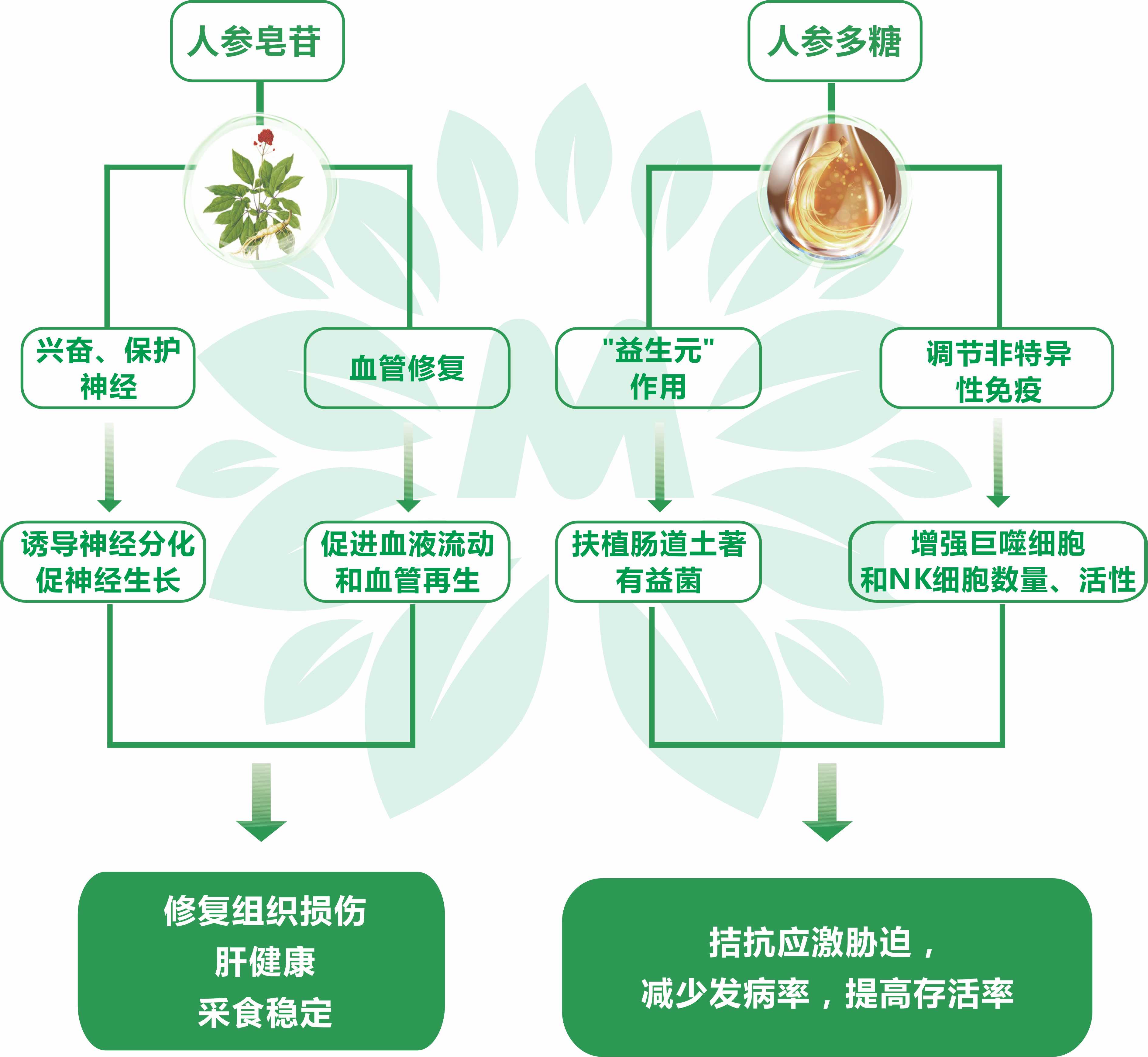 未命名 -2.jpg